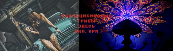 стаф Бугульма