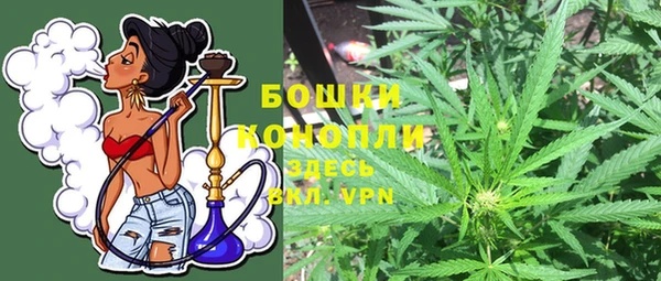 стаф Бугульма