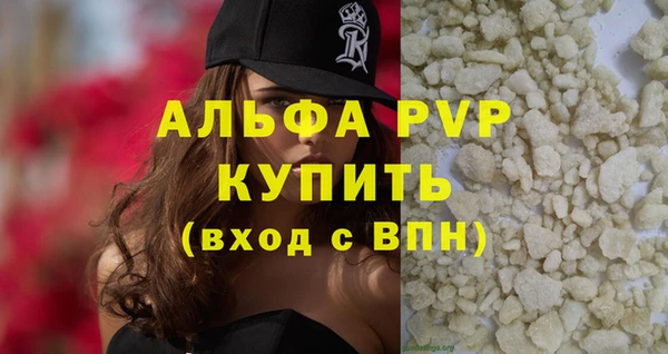 спиды Богородицк